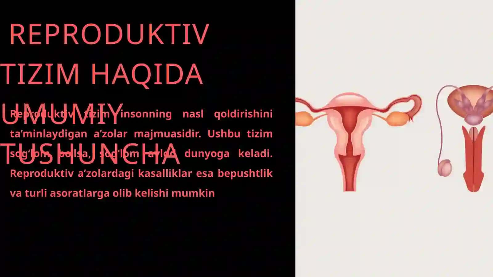 Reproduktiv tizim va kasalliklari 4