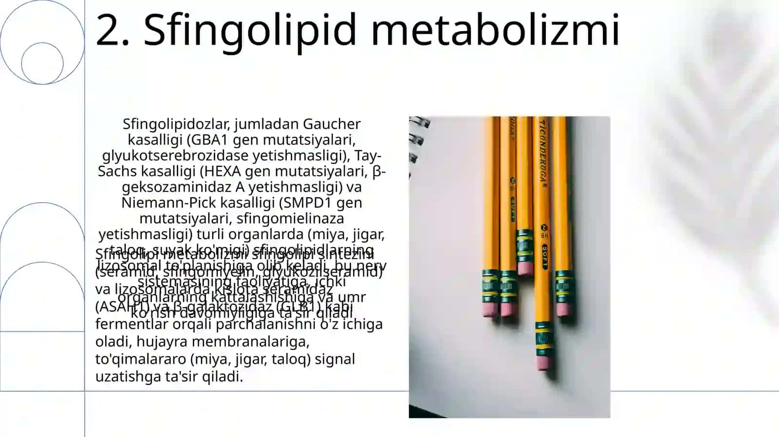 Sfingolipidozlar 4