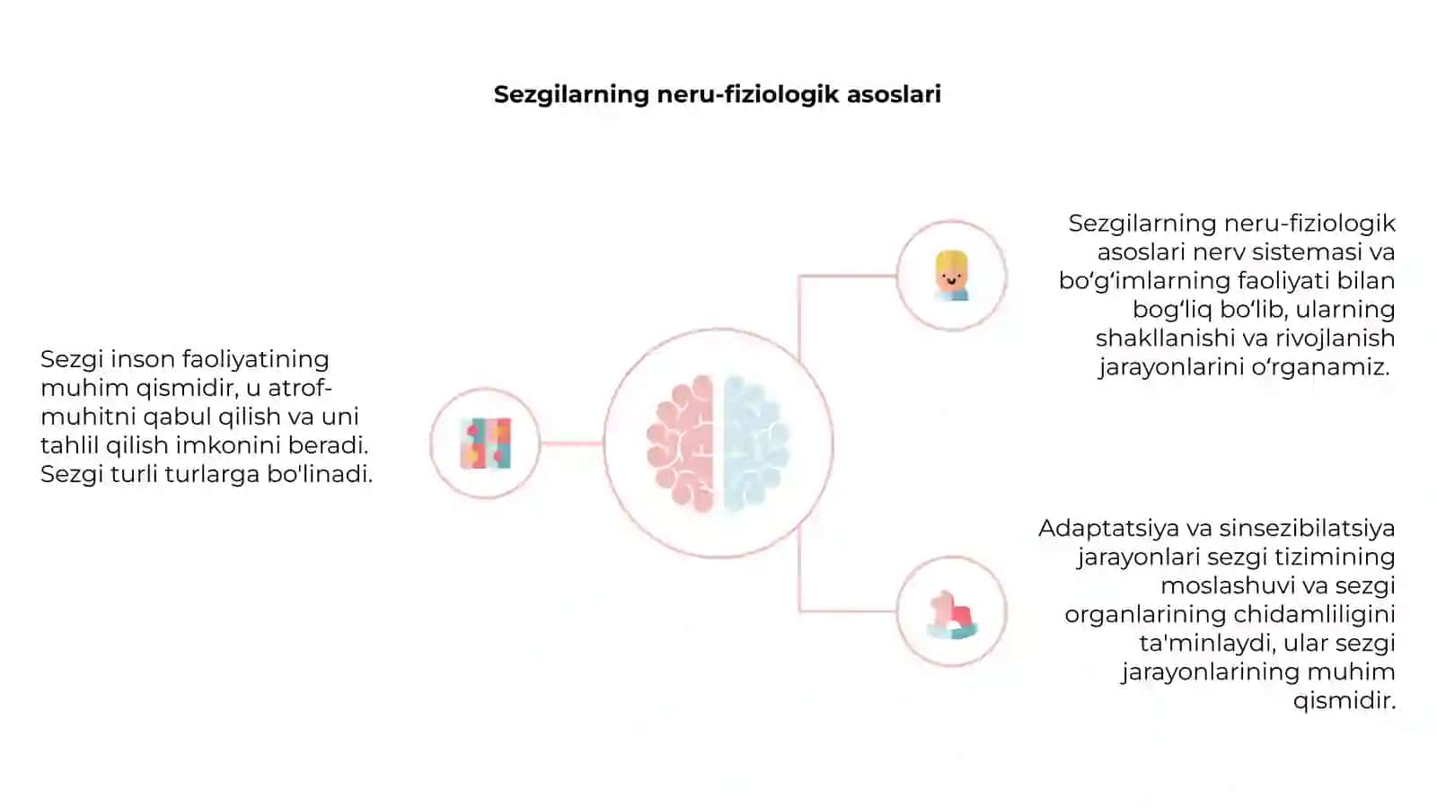 Sezgilarning neru-fiziologik asoslari 4