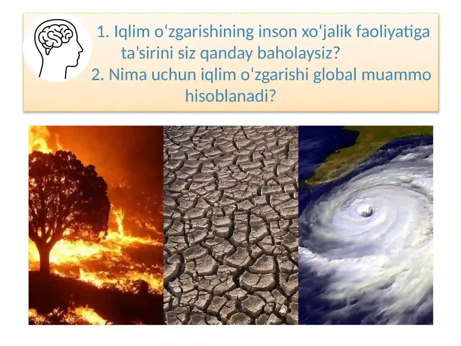 IQLIMO‘ZGARISHININGYER TABIATIGA TA’SIRI 4