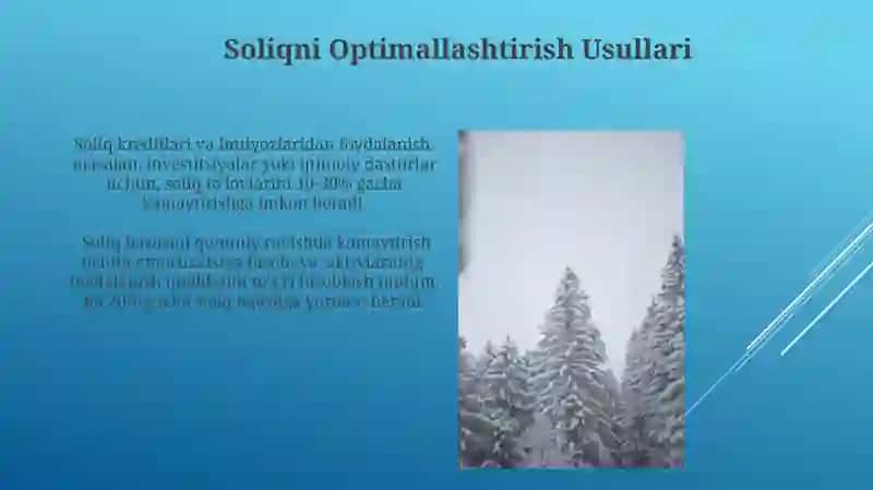 Qor Foydalanish Solig'i 4