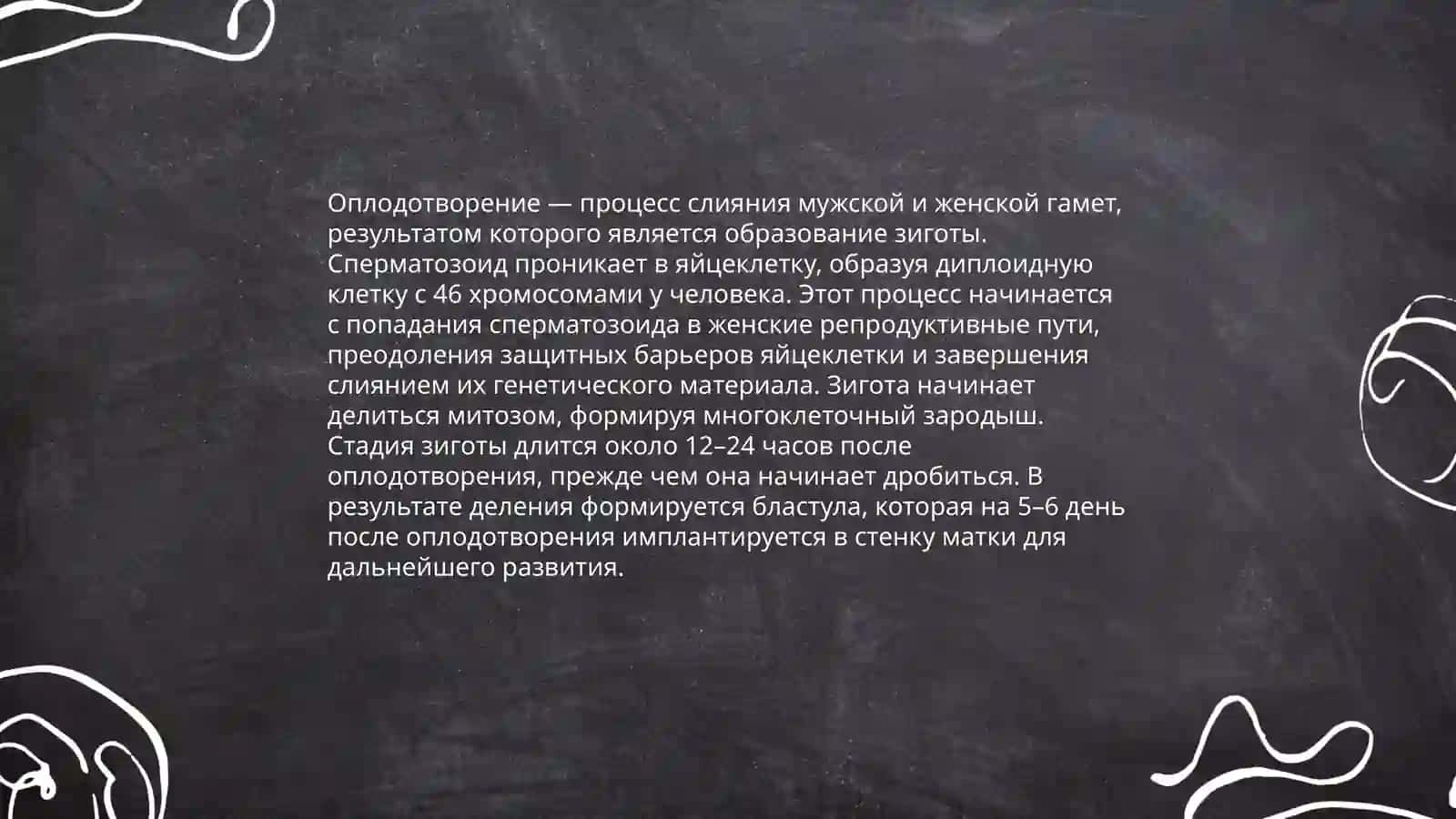 ЭМБРИОЛОГИЯ ЧЕЛОВЕКА 4