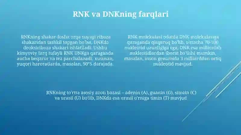 RNK va DNK lar tuzulishi 4