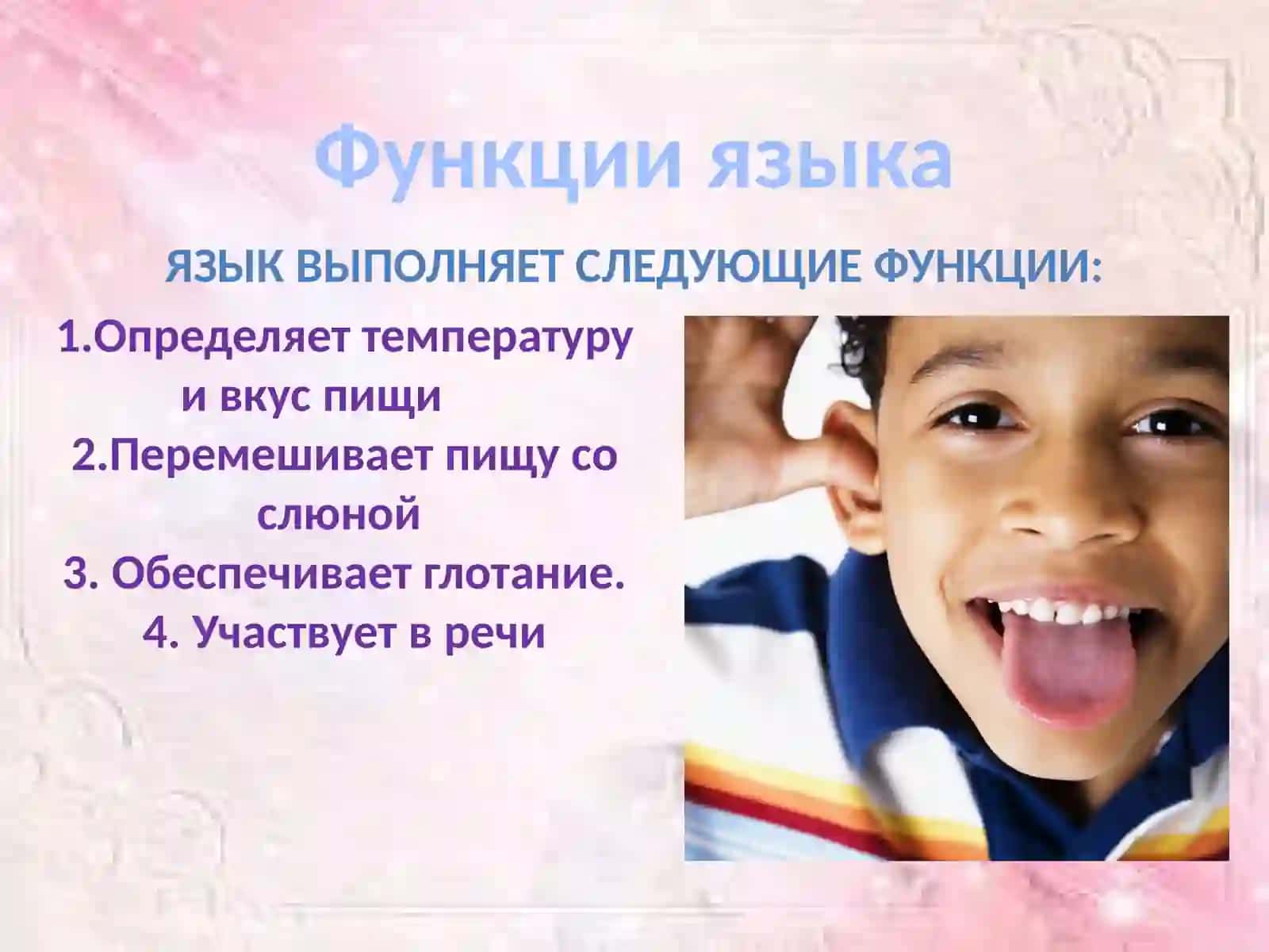 ОРГАН ВКУСА 4