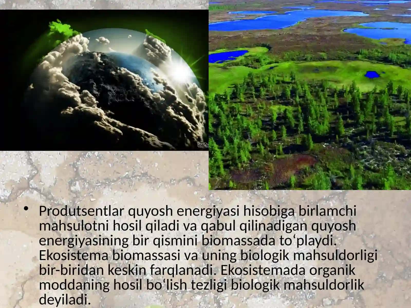 Ekotizimlarning mahsuldorligi 4