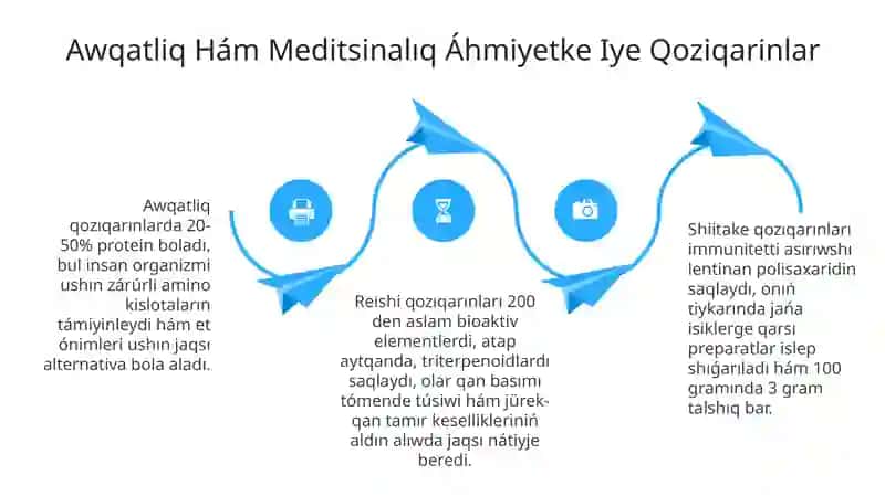 Qozıqarınlar: Tariyxı hám Payda Bolıwı 4