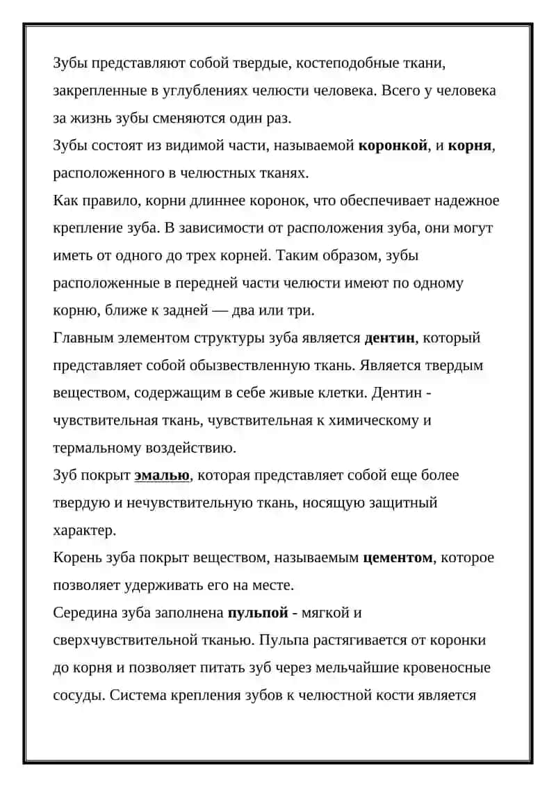 АНАТОМИЧЕСКОЕ СТРОЕНИЕ ЗУБОВ 4