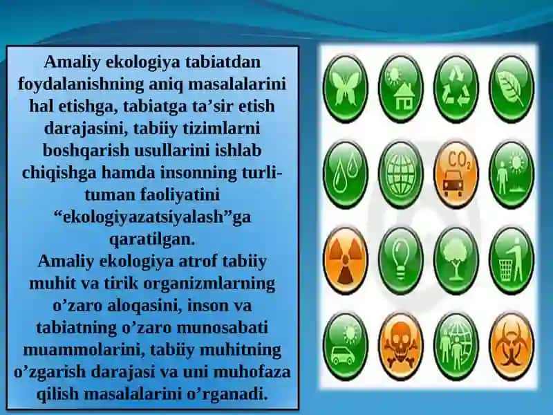 Ekologiya tushunchasi 4