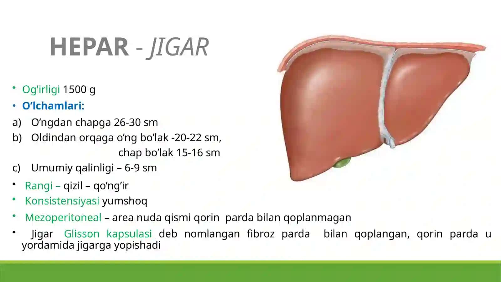 JIGAR. ME’DAOSTI BEZI 4