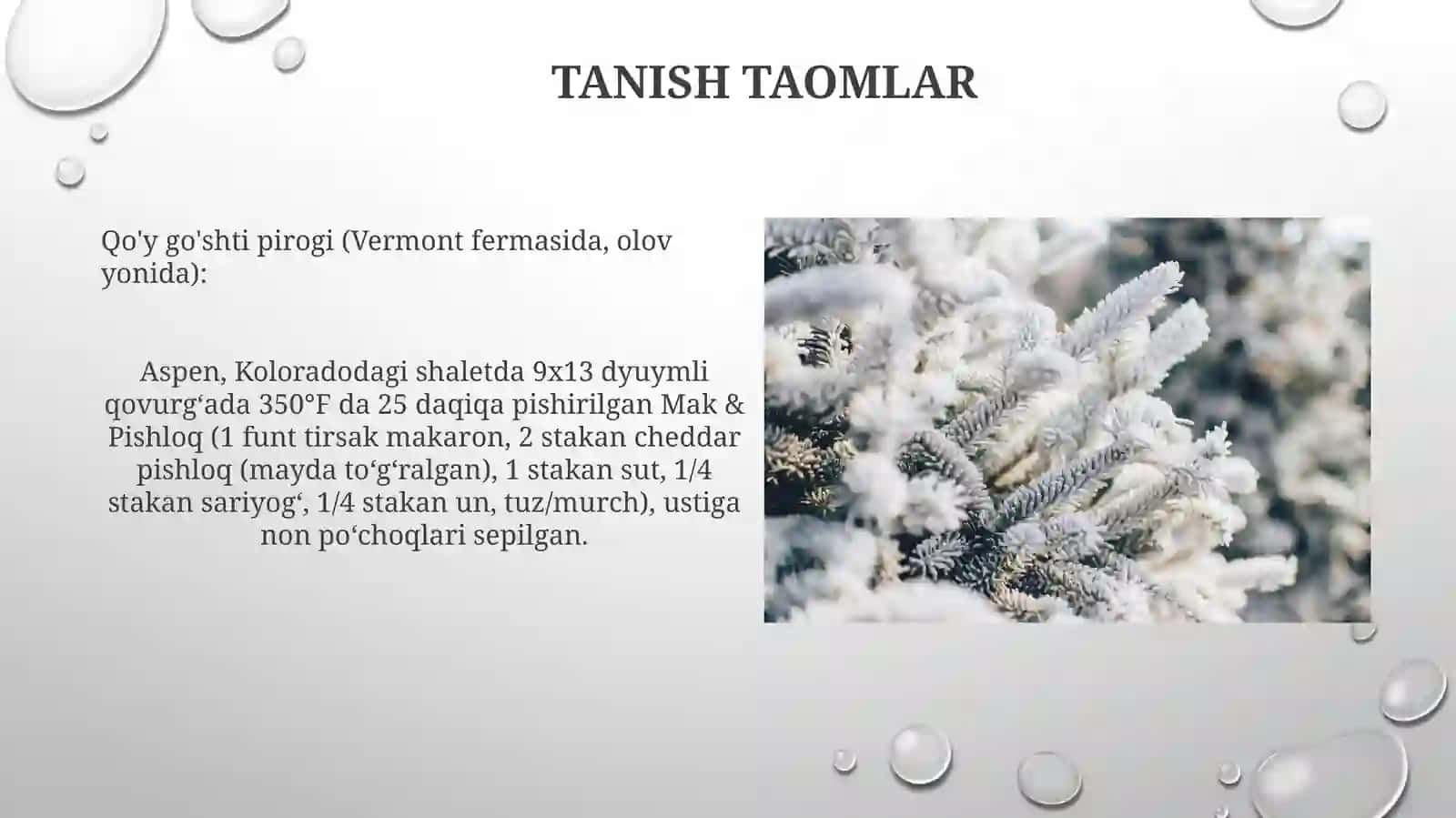 Bayram Ta'mlari 4