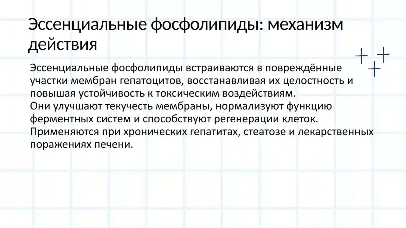 Гепатопротекторы 4