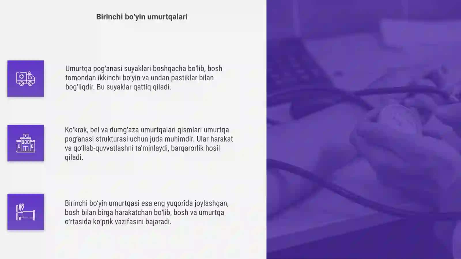 Umurtqa pogʻanasi suyaklari 4