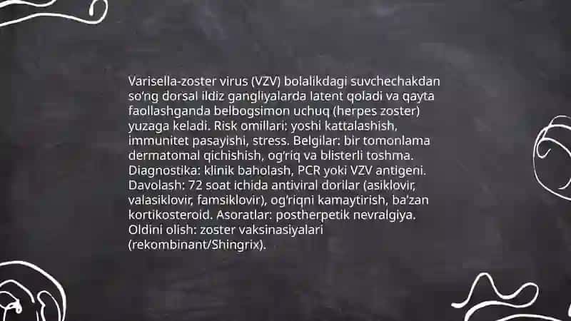 Orab oluvchi yoki belbogsimon uchuq 4