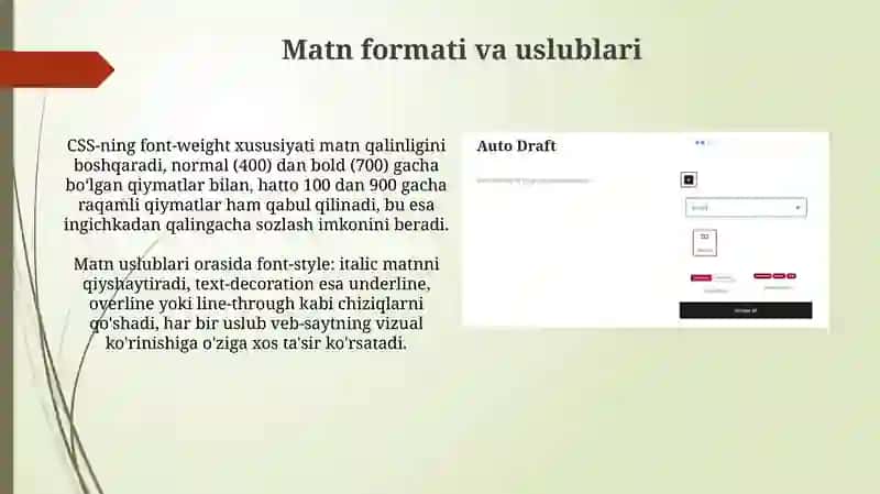 Veb-sahifada matnni joylashtirish va formatlash 4