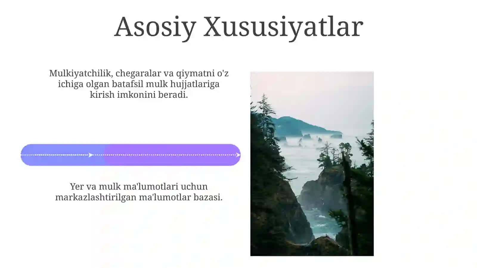 Yagona Davlat Kadastr Tizimi 4