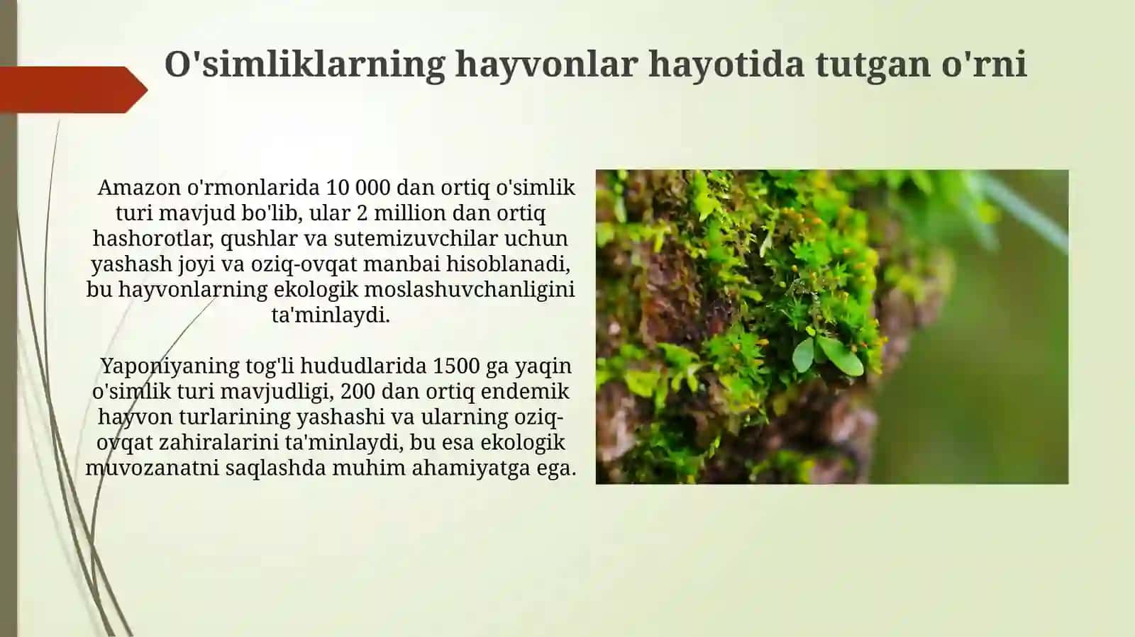 Turlarning ekologik xilma-xilligi 4