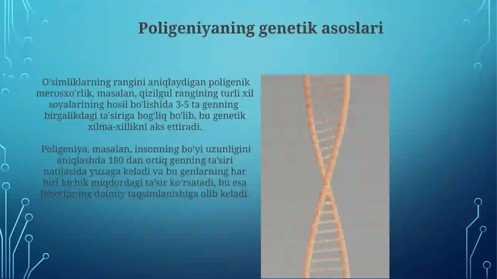 Allel bo'lmagan genlarning o'zaro ta'siri 4