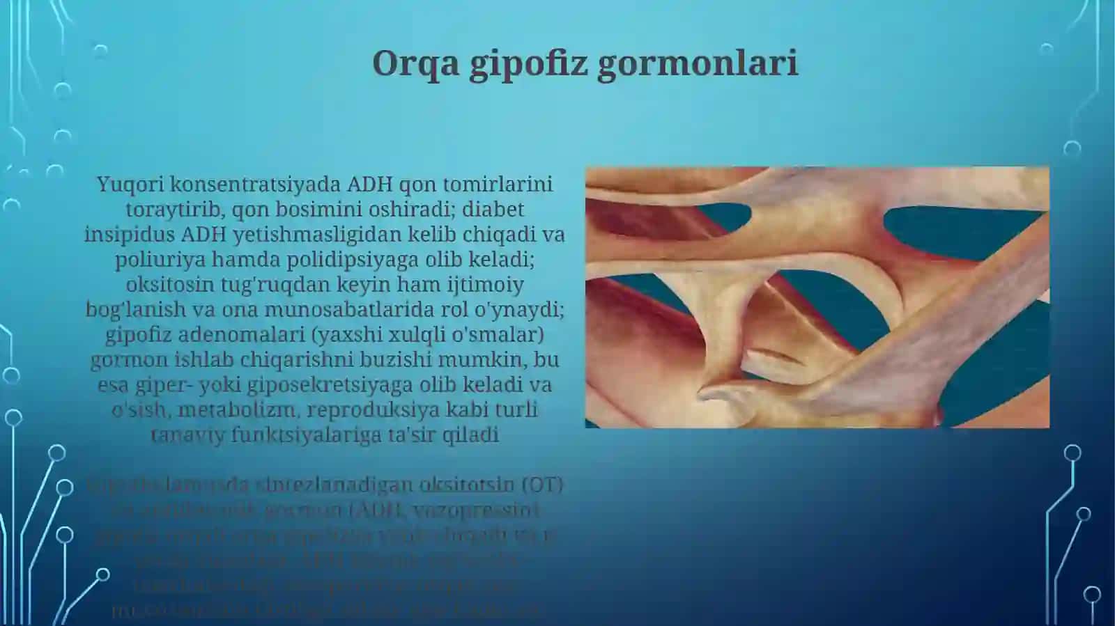 Gipofiz bezi Fizialogiyasi 4