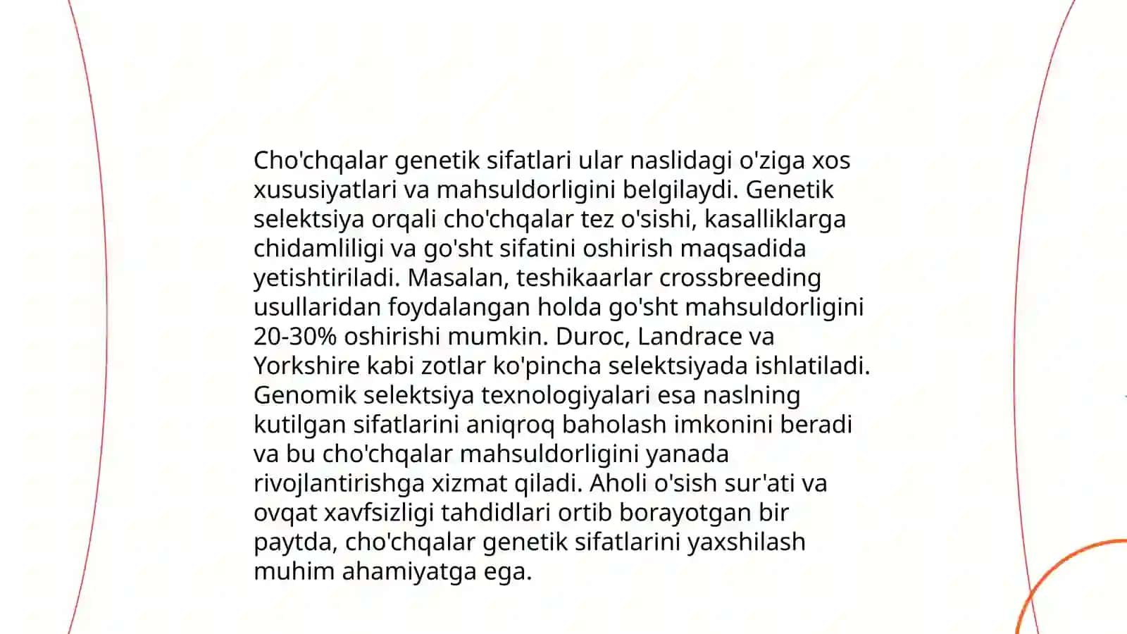 Naslli erkak cho'chqalarni bonitirovka qilish 4