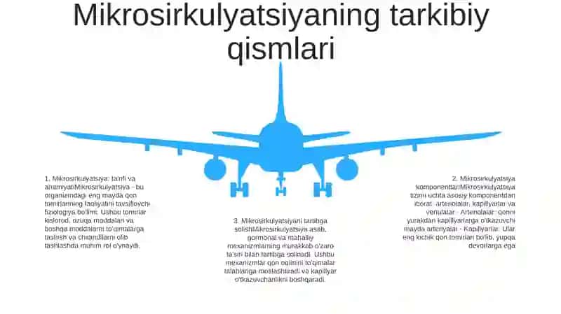 Mikrosirkulyatsiya Haqida Tushuncha 4