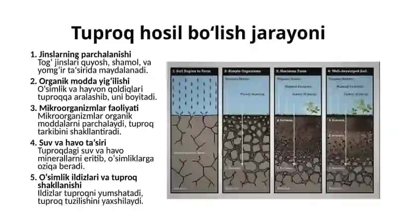 Tuproq va uning xususiyatlari 4