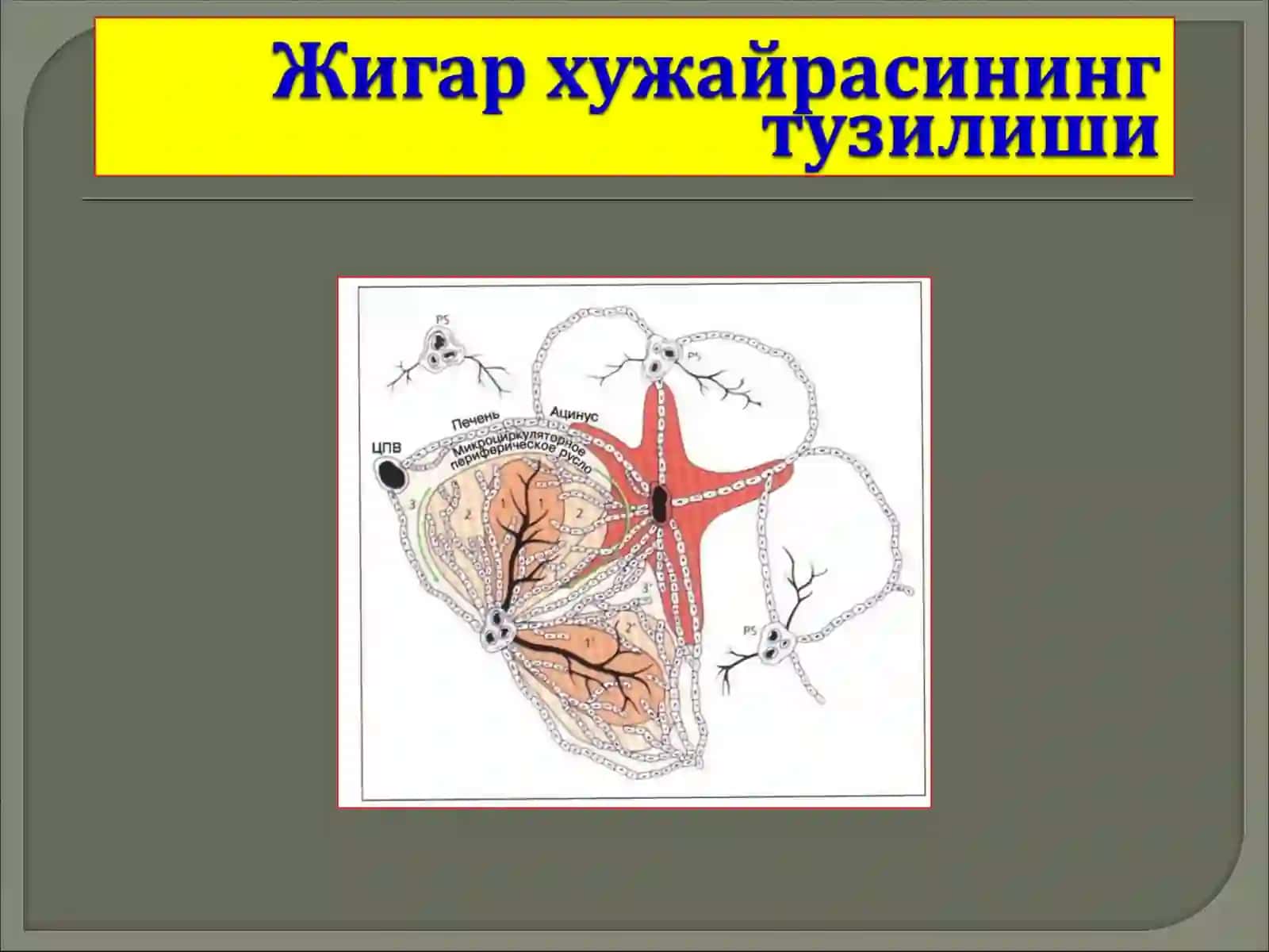Жароҳатлар турига қараб 4