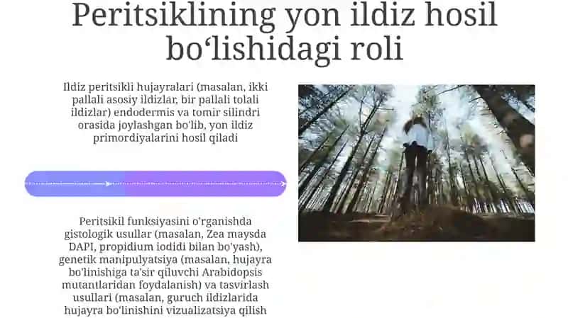Ildiz qismlarini oʼrganish 4