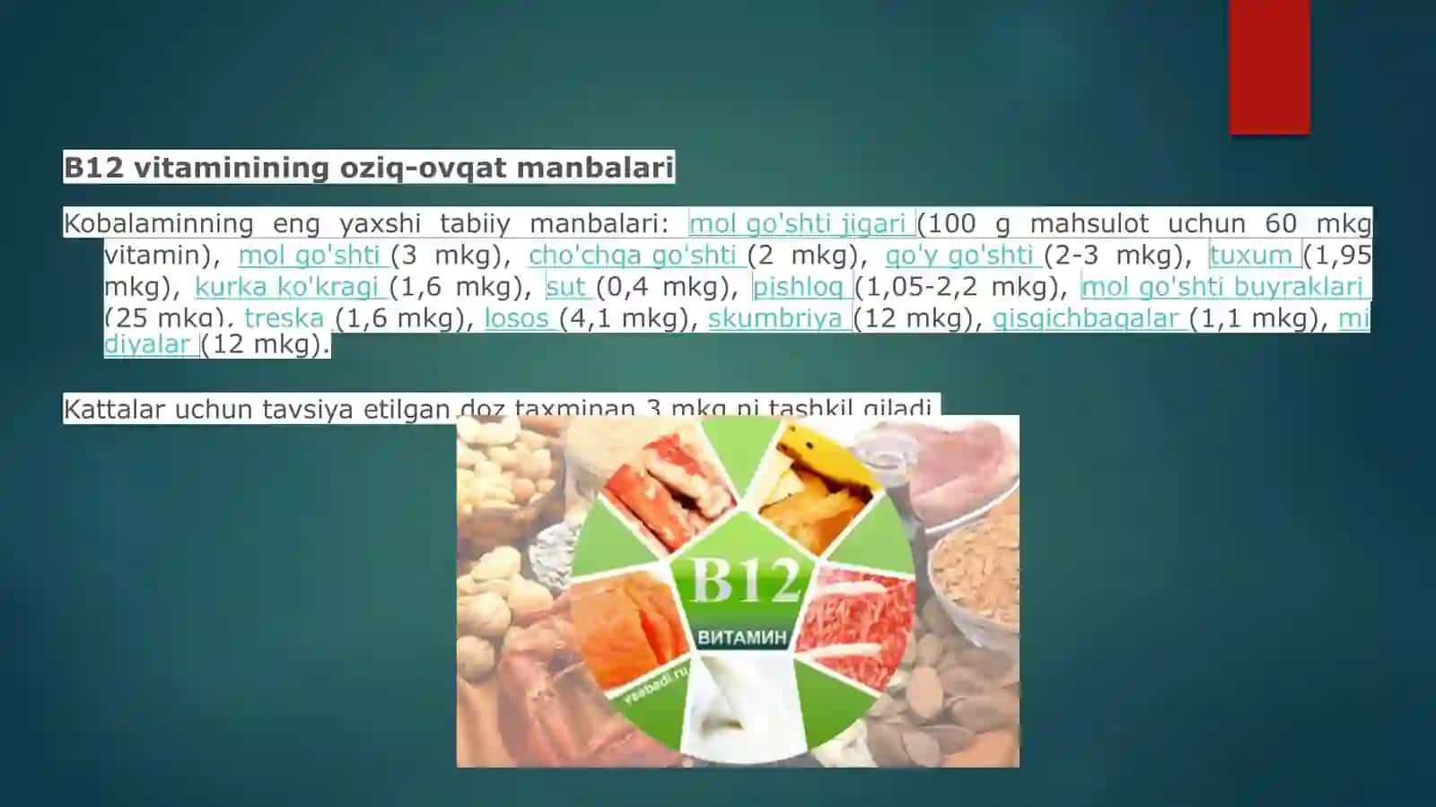 B12 vitamini 4