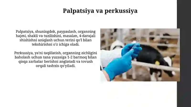 Hayvonlarni Tekshirish Usullari 4