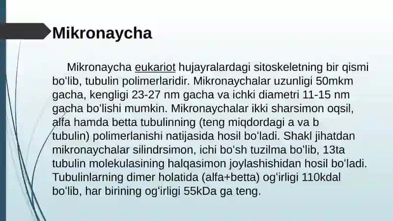 Hujayra sitoskeleti 4