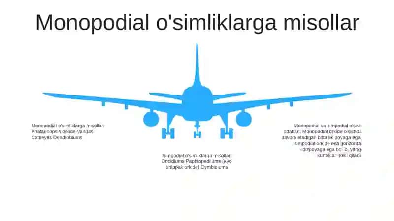 Monopodial Va Simpodial Tópgul 4