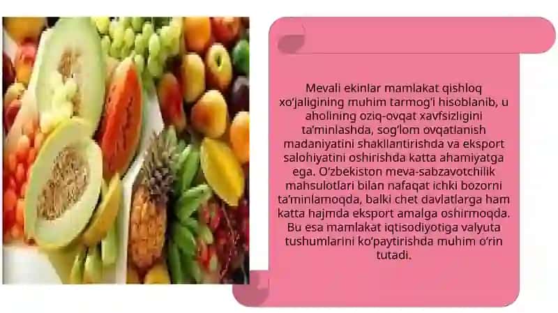 "O'zbekistonda kam ekiladigan mevali ekinlarni ta'riflash" 4