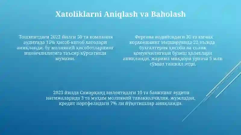 Audit Tekshiruvi Natijalari 4