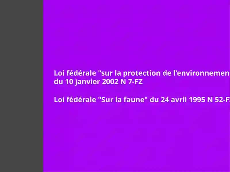 LE DROIT DES ANIMAUX 4