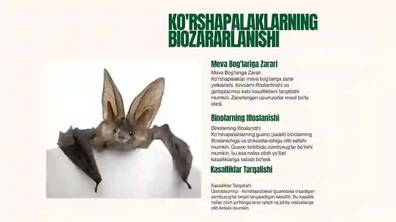 SUTEMIZUVCHILAR - BIOZARARLANISH MANBALARI 4