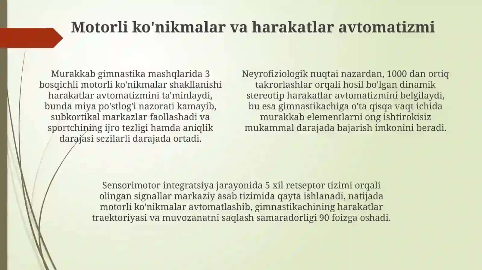 Sportgimnastikasidareflektoryondashuv 4