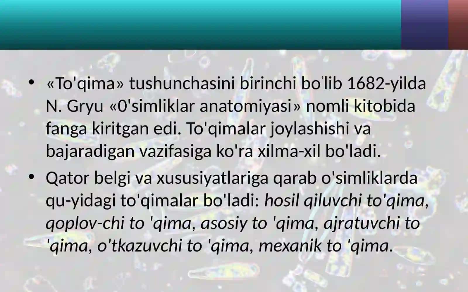 6-sinf Botanika O'simlik to'qimalari 4