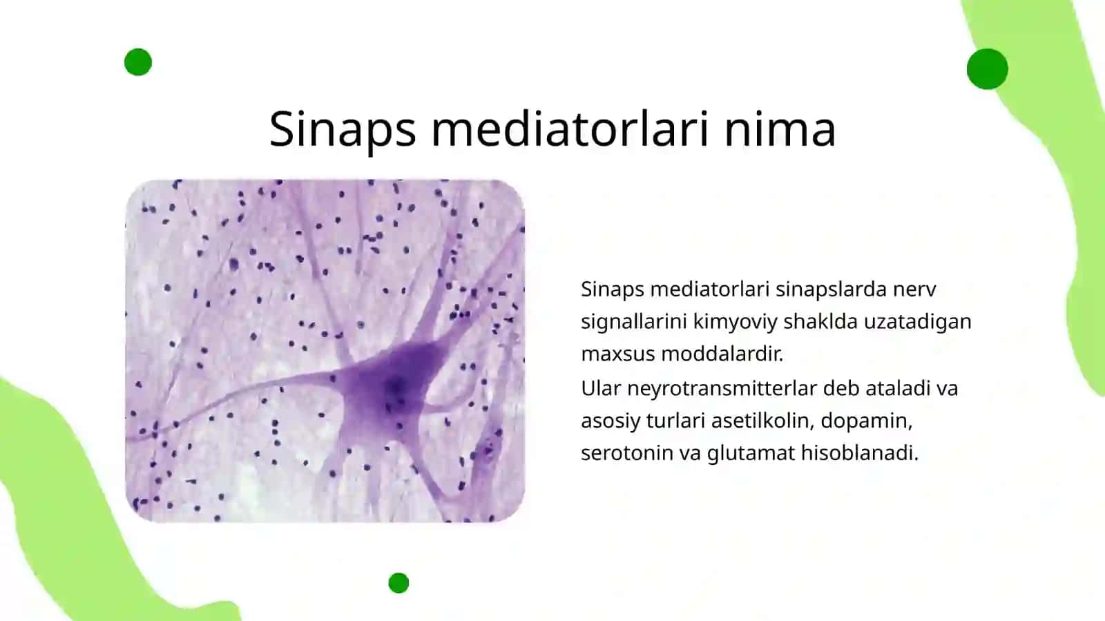 Sinaps mediatorlarining umumiy tavsifi 4