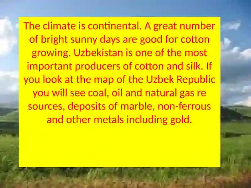 Nature of Uzbekistan 4
