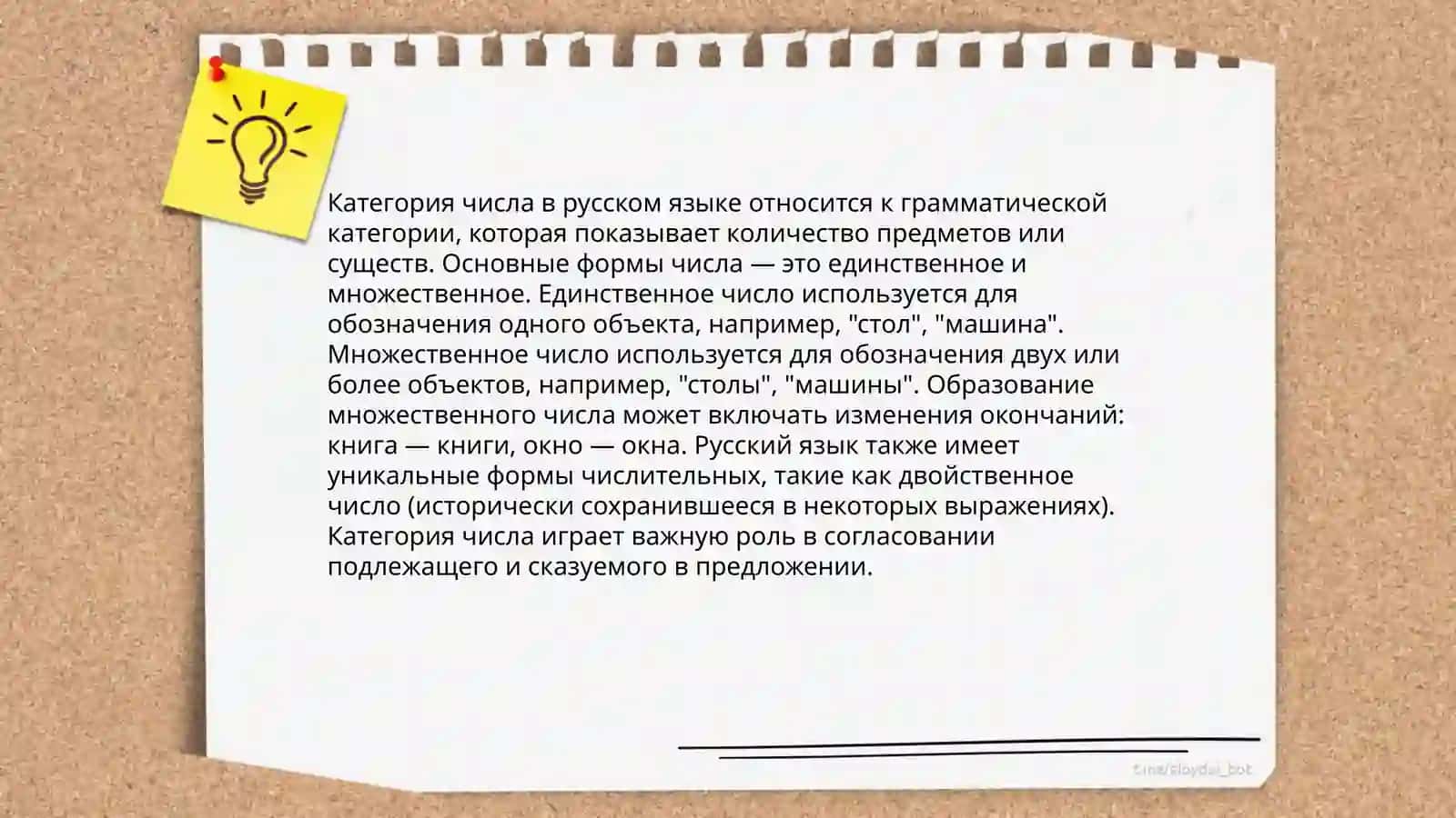 Морфология имя сушествитэлное 4