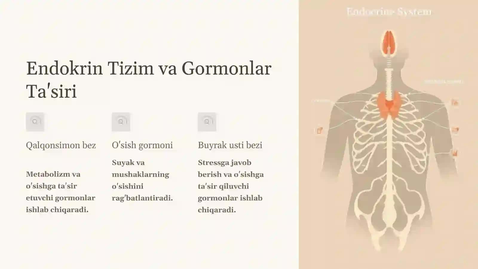 Bolalarning O'sishini Belgilovchi Omillar 4