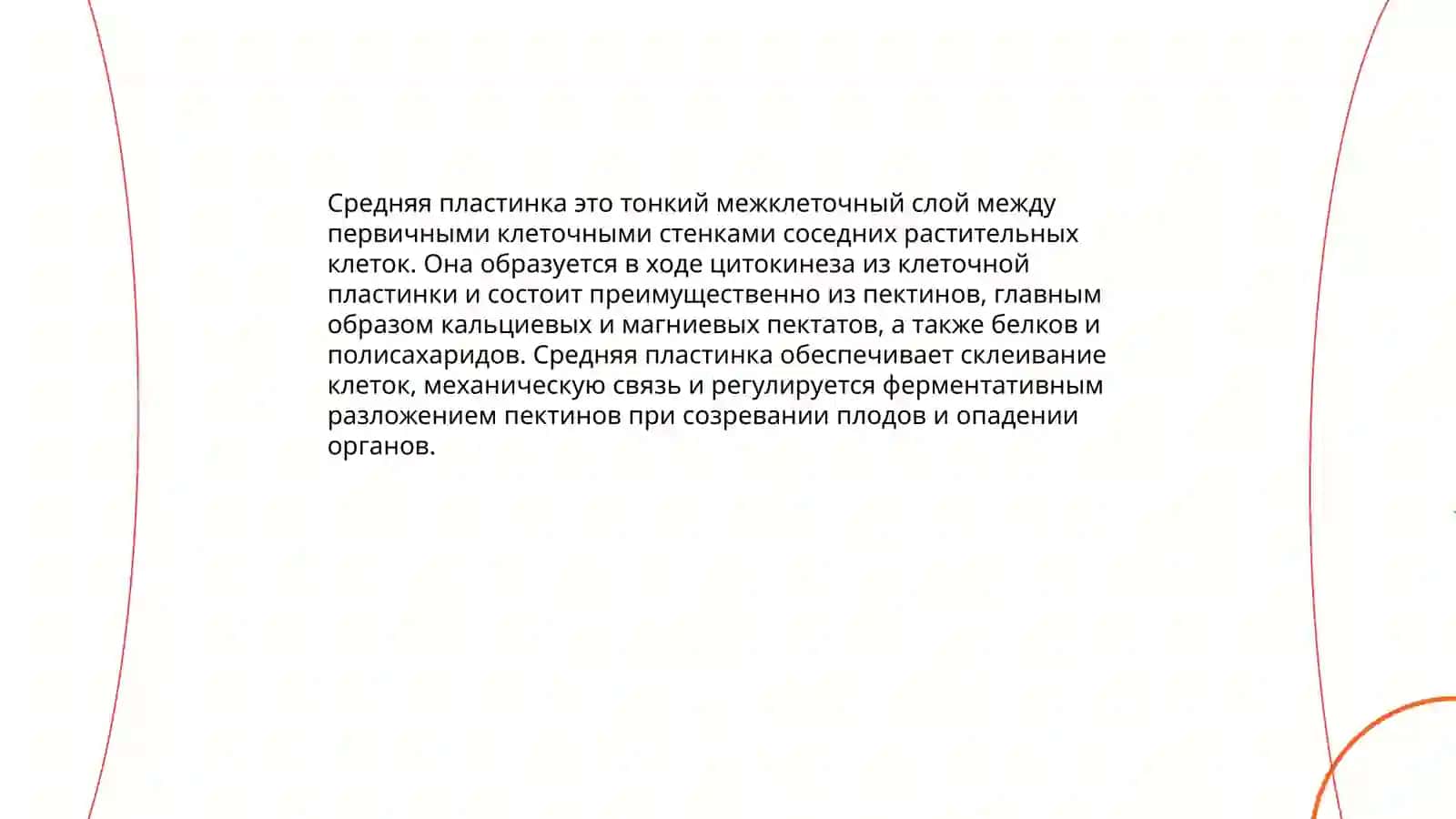 Строение растительной клетки 4