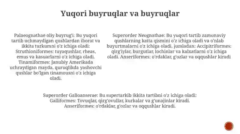Qushlar Sistematikasi 4