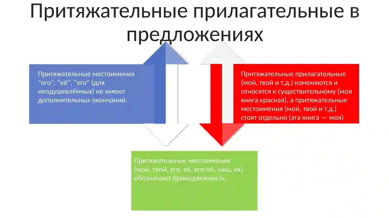 Притяжательные прилагательные 4