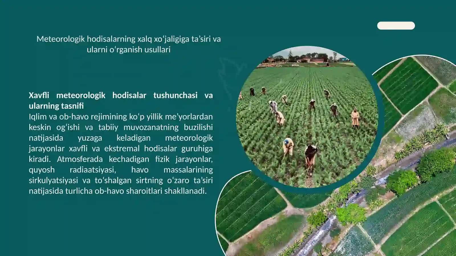 “Xalq xo`jaligi uchun xavfli bo`lgan metreologik hodisalar” 4