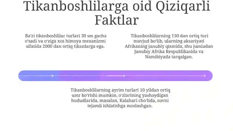 Tikanboshlilar tipi 4