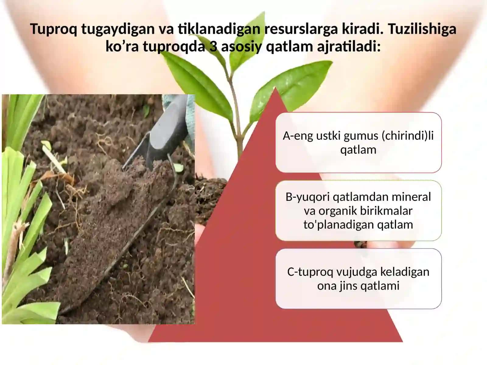 Tuproqresurslarinimuhofazaqilish 4