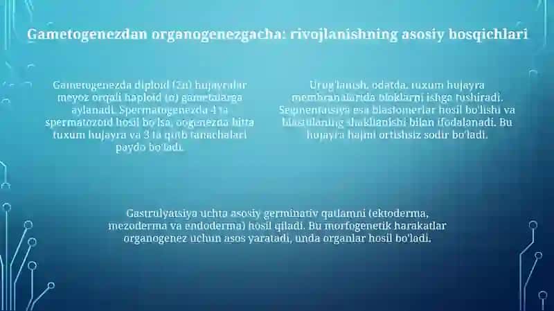 Rivojlanish biologiyasi 4
