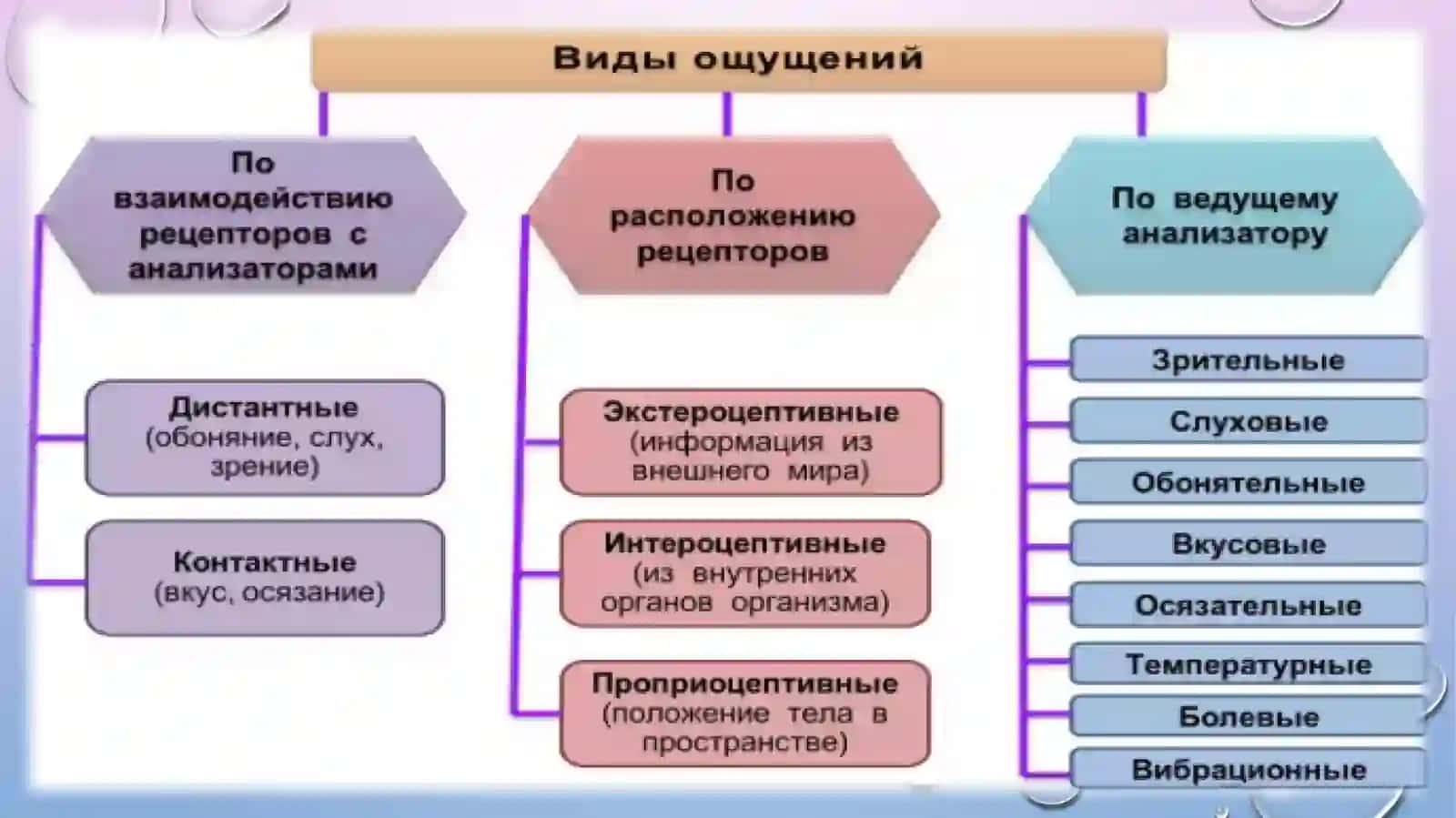 Ощущение и чувствительность 4