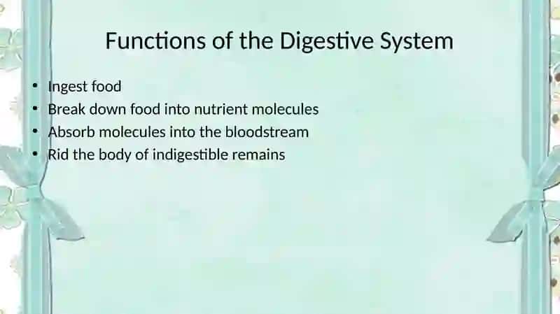 The digestive system and process of digestion and absorption 4